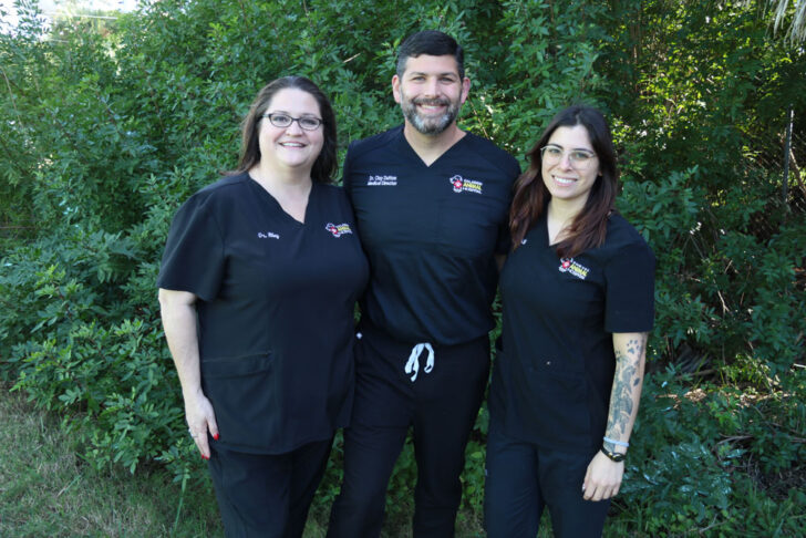 caladesi animal lhospital dvm