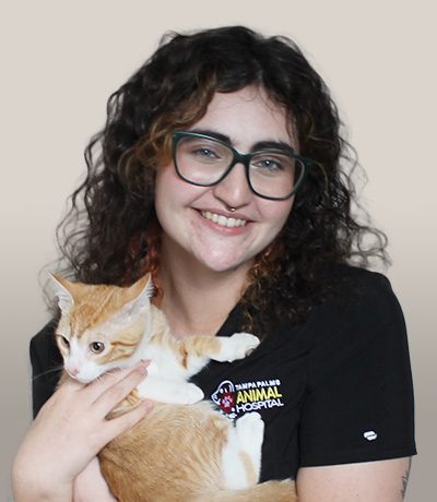 Ambra - Tampa Animal Hospitals Tampa Animal Hospitals