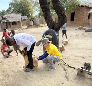 <center>Dr. Link Welborn administrating rabies vaccine to a dog in Malawi</center>