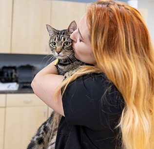 Tampa Bay Urgent Care