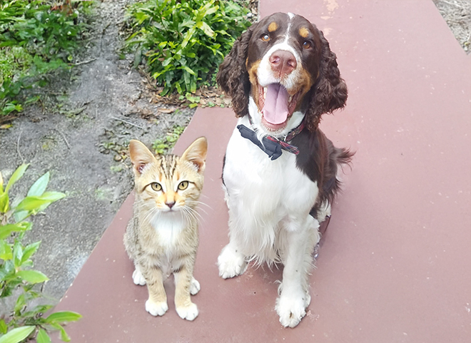 5 Reasons Why Preventive Care Planning Creates Future Savings