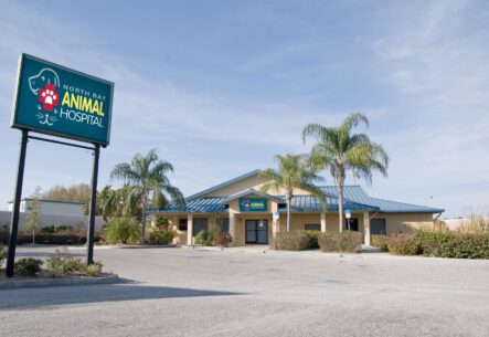 North Bay